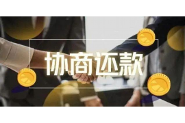 资阳为什么选择专业追讨公司来处理您的债务纠纷？